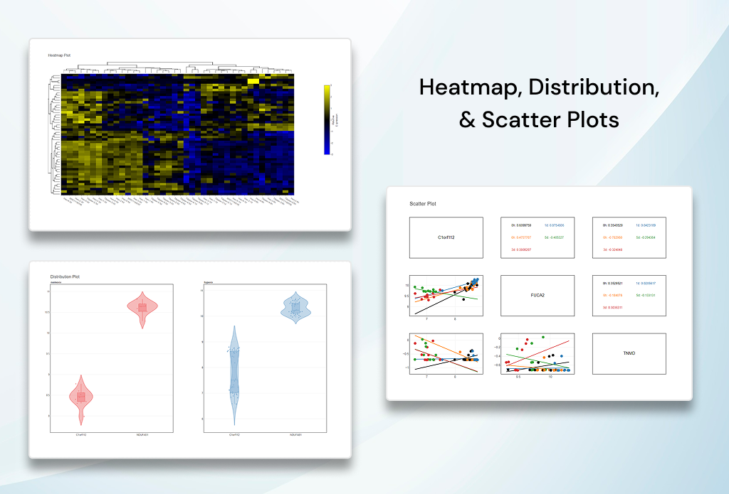 RNA-Seq Visualizer screenshot 4